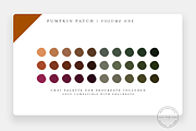 Pumpkin Patch Procreate Stamps + PNG, a Brush Add-On by SorrDesign (Thumbnail 5 of 7)
