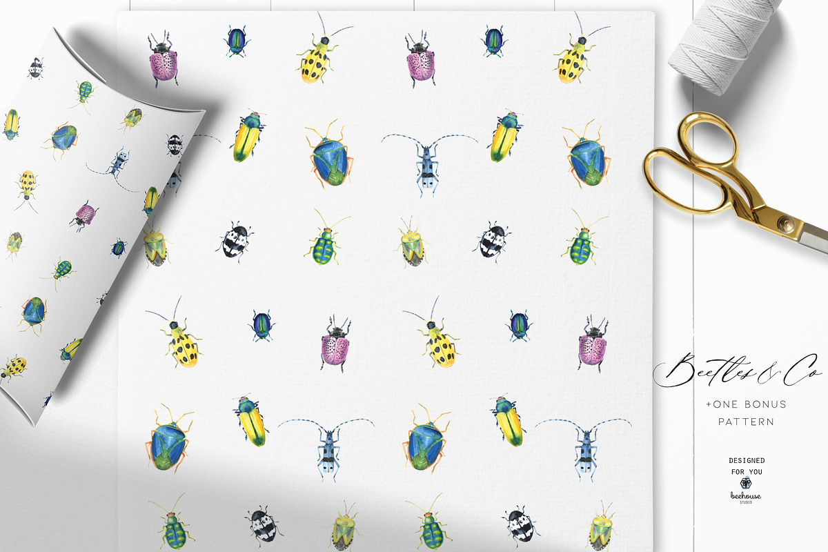 Watercolor Beetles&Co, an Animal Illustration by beehouse studio (Photo 4 of 6)