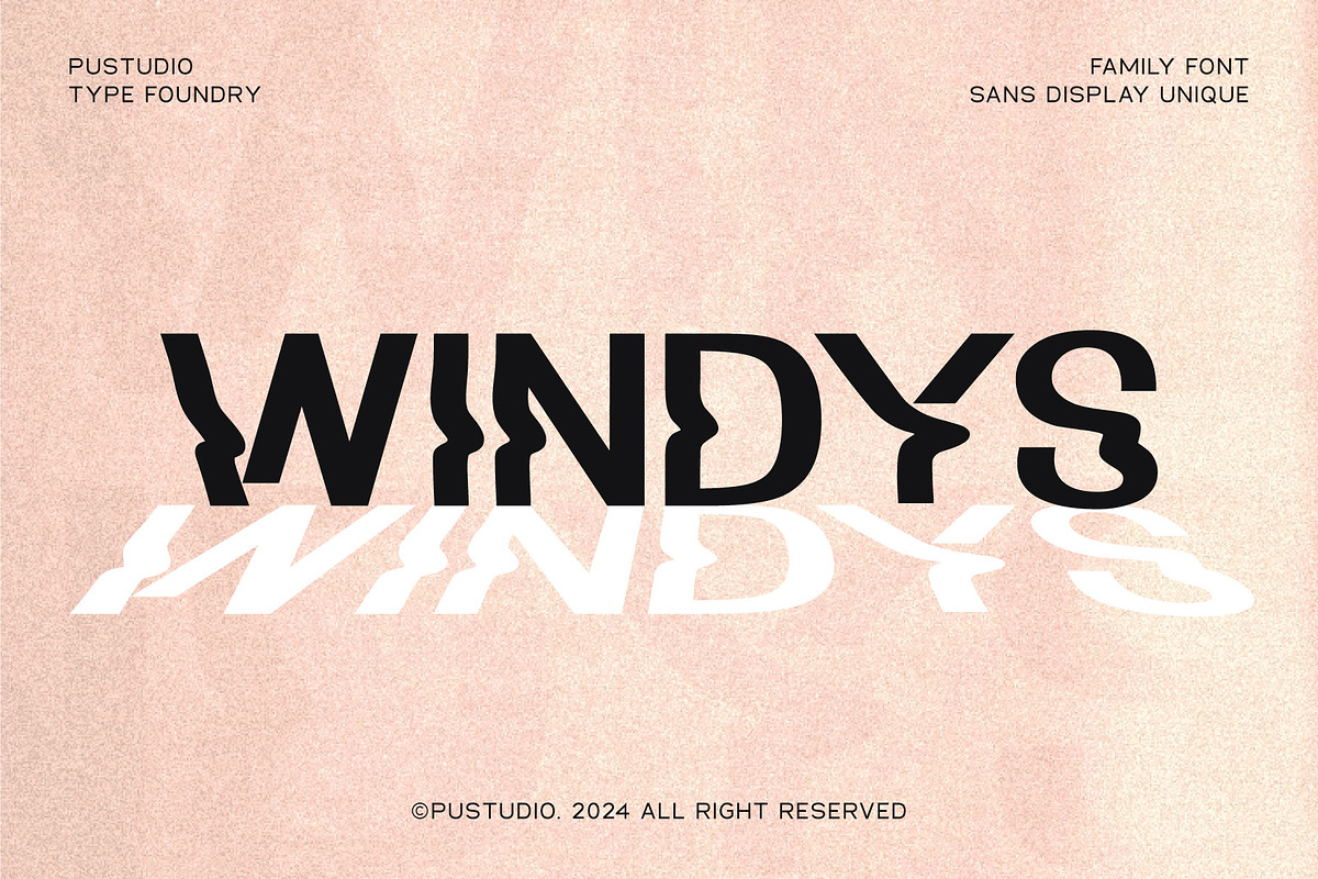 WINDYS, a Sans Serif Font by Pustudio (Photo 1 of 6)
