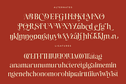 Drakune - Beauty Elegant Serif, a Serif Font by Shakira Studio (Thumbnail 8 of 10)