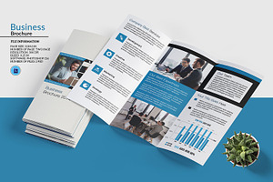 Trifold Corporte Brochure