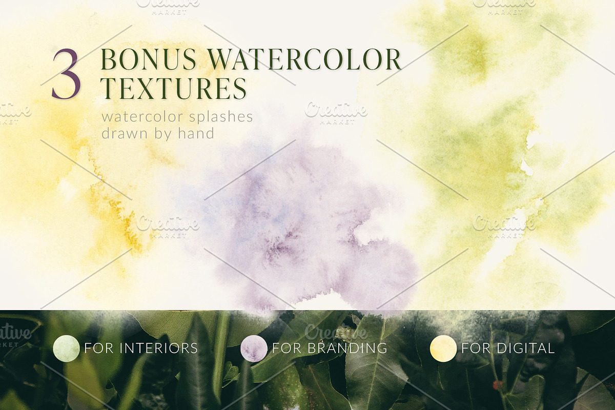 Passion Fruit Watercolor Clip Art, a Food Illustration by Elena Malgina Clipart (Photo 15 of 16)