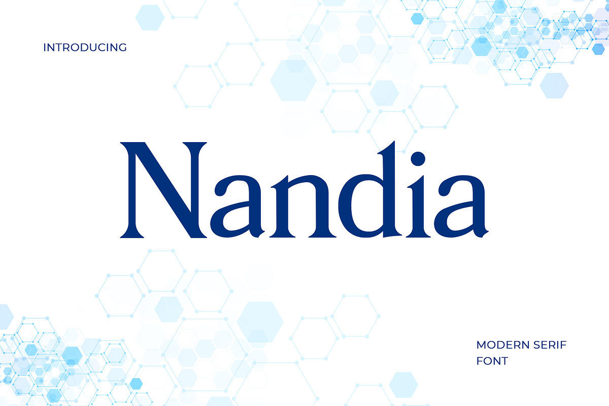 Nandi Modern Serif Font, a Serif Font by UICreative (Photo 1 of 5)