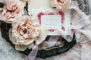 Red Carnation, an Illustration by Olga Koelsch (Thumbnail 4 of 8)