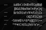 Rainhalf-Beautiful Display Serif, a Serif Font by Arterfak Project (Thumbnail 12 of 13)