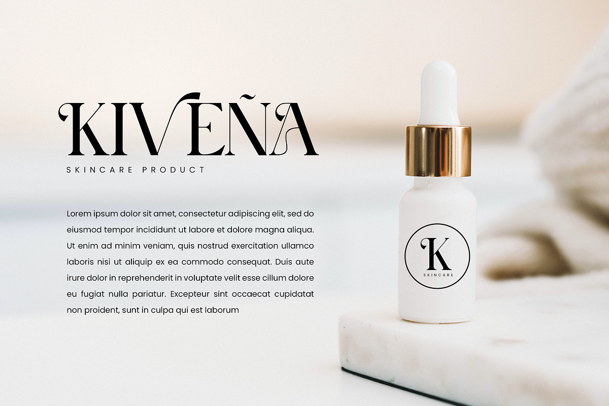 Beezle Modern Serif Font, a Serif Font by Idea Studio (Photo 4 of 10)