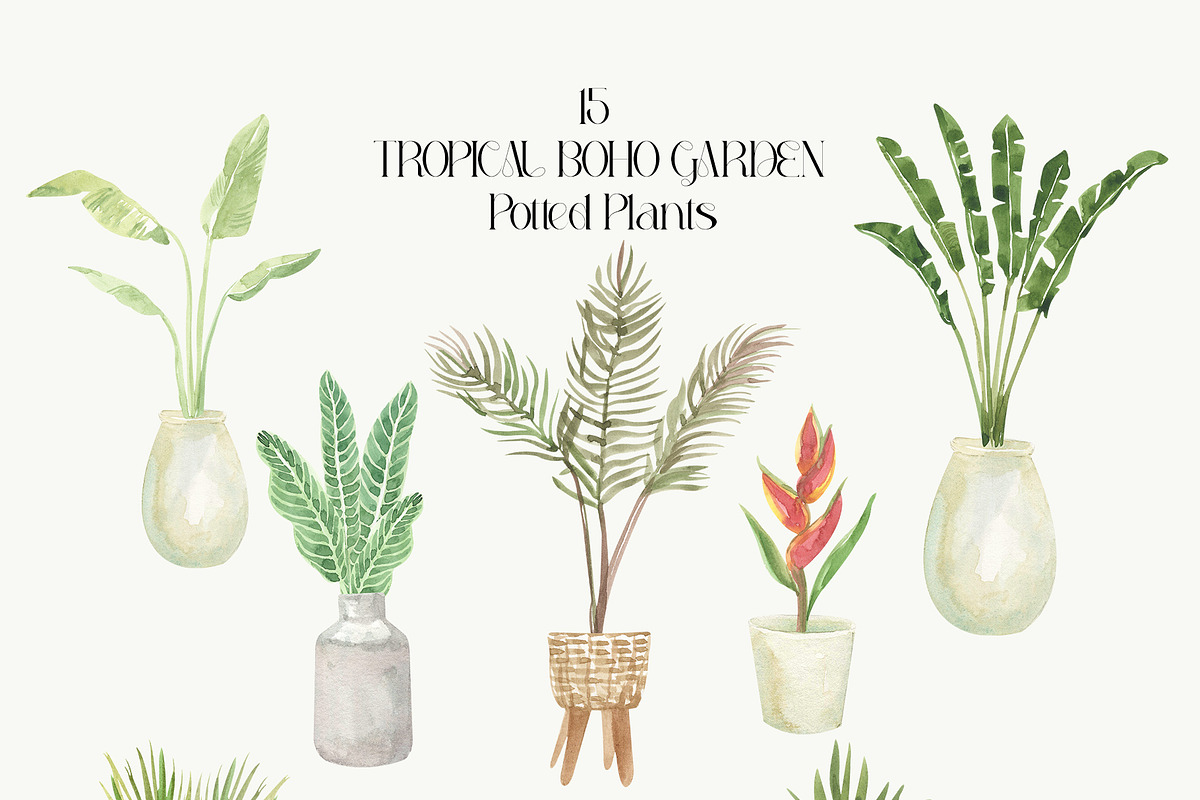 Tropical Boho Garden Plants & Floral, a Decorative Illustration by Catch the Dream Art (Photo 7 of 10)