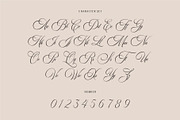 Golden Harmony, a Script Font by ManType (Thumbnail 8 of 8)