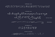 Biegen Stinger - Script Font, a Script Font by NTC Graphic (Thumbnail 8 of 9)
