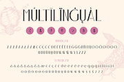 Irazhumi, a Serif Font by Burntilldead (Thumbnail 15 of 16)