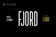 Tall Eagle, a Sans Serif Font by Dead Moose Studio (Thumbnail 8 of 12)