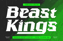 Beast Kings Modern Sport Display