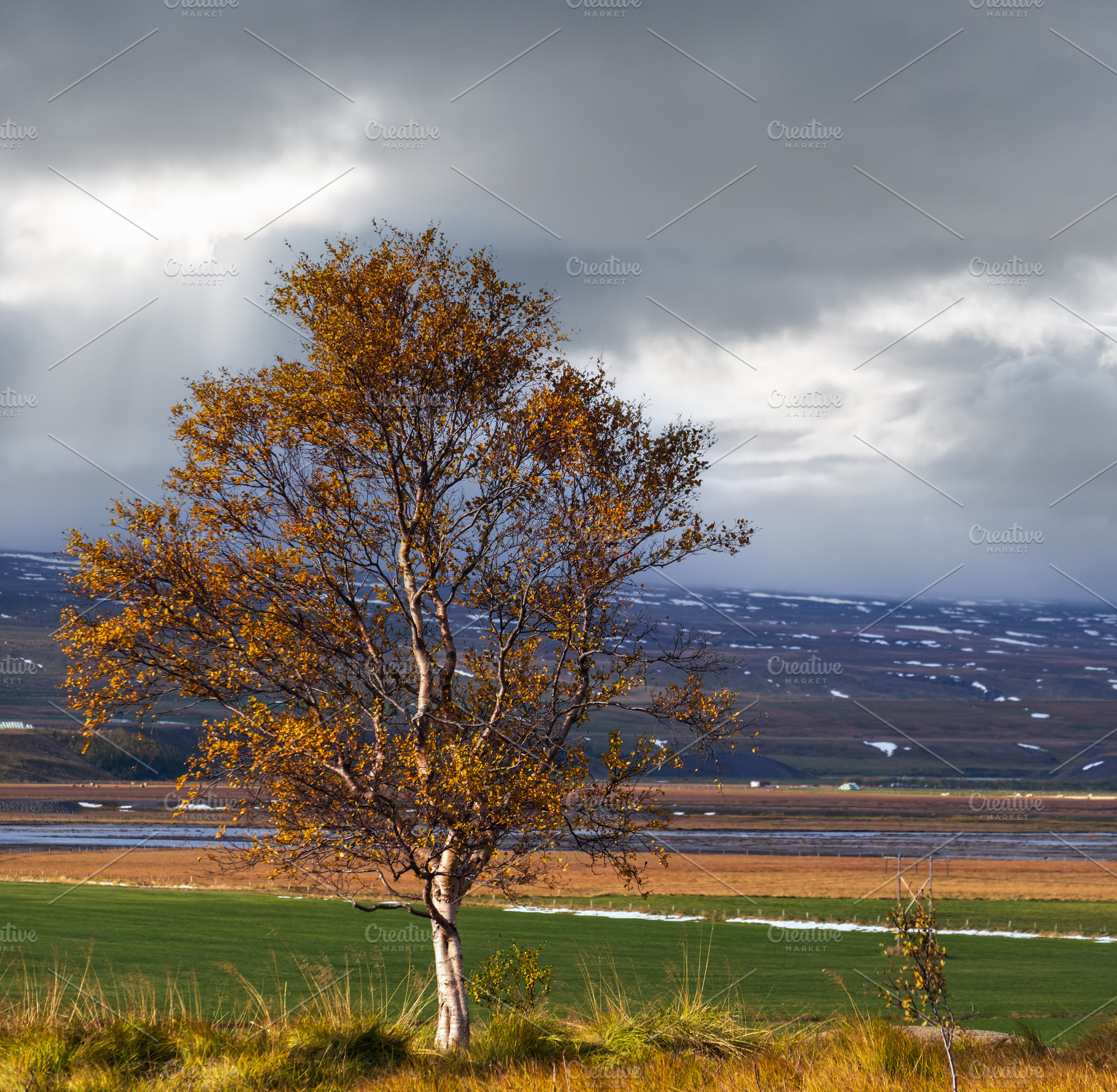 Beautiful mountain view during auto trip in North Iceland. Spect, a Nature Photo by YuriyB