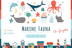 Marine Fauna