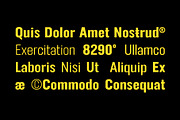 FT Neue Buddy - 5 Styles Sans Serif, a Sans Serif Font by fuzztype (Thumbnail 7 of 15)