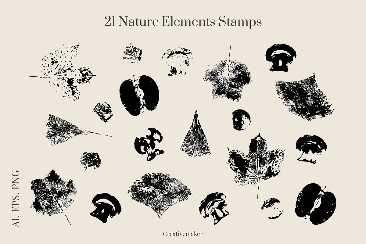 Abstract Autumn Flora, an Object Graphic by Creativemaker (Photo 4 of 11)