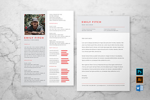 Professional Resume & Cover Letter 4