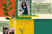 ✨ Sunflower - Keynote, a Presentation Template by Dirtytemp Studio (Thumbnail 6 of 11)