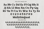 Pelank – Serif Font, a Serif Font by NDNL Studio (Thumbnail 8 of 11)