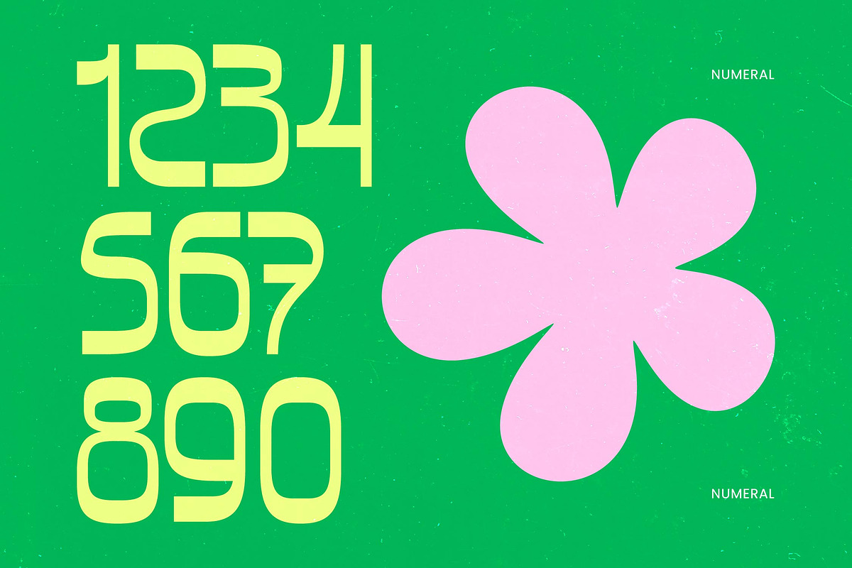 Bonfade Display Freestyle Sans, a Script Font by timelesstype.co (Photo 11 of 20)