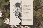 Autumn Heritage Botanical Collection, a Seasonal Illustration by Yevheniia (Thumbnail 13 of 13)