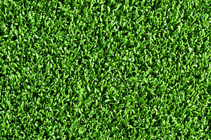 Close up view of vibrant green grass, a Nature Photo by MistyDay