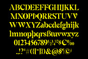 ED Fortrose - Serif Typeface, a Serif Font by Emyself Design (Thumbnail 4 of 10)
