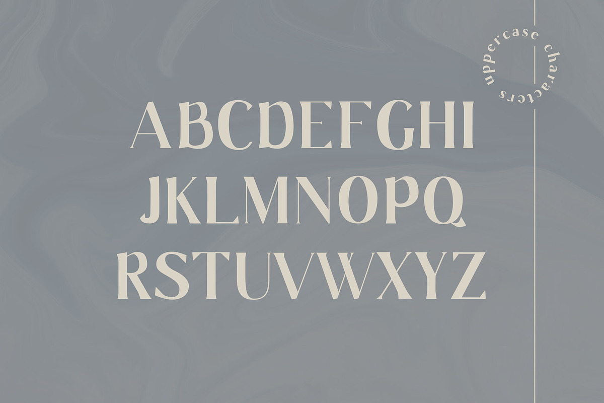 Gaskin | Wedge Serif preview 3