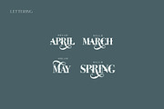 Spring Collection, a Background Graphic by Anna's Lettering (Thumbnail 8 of 14)