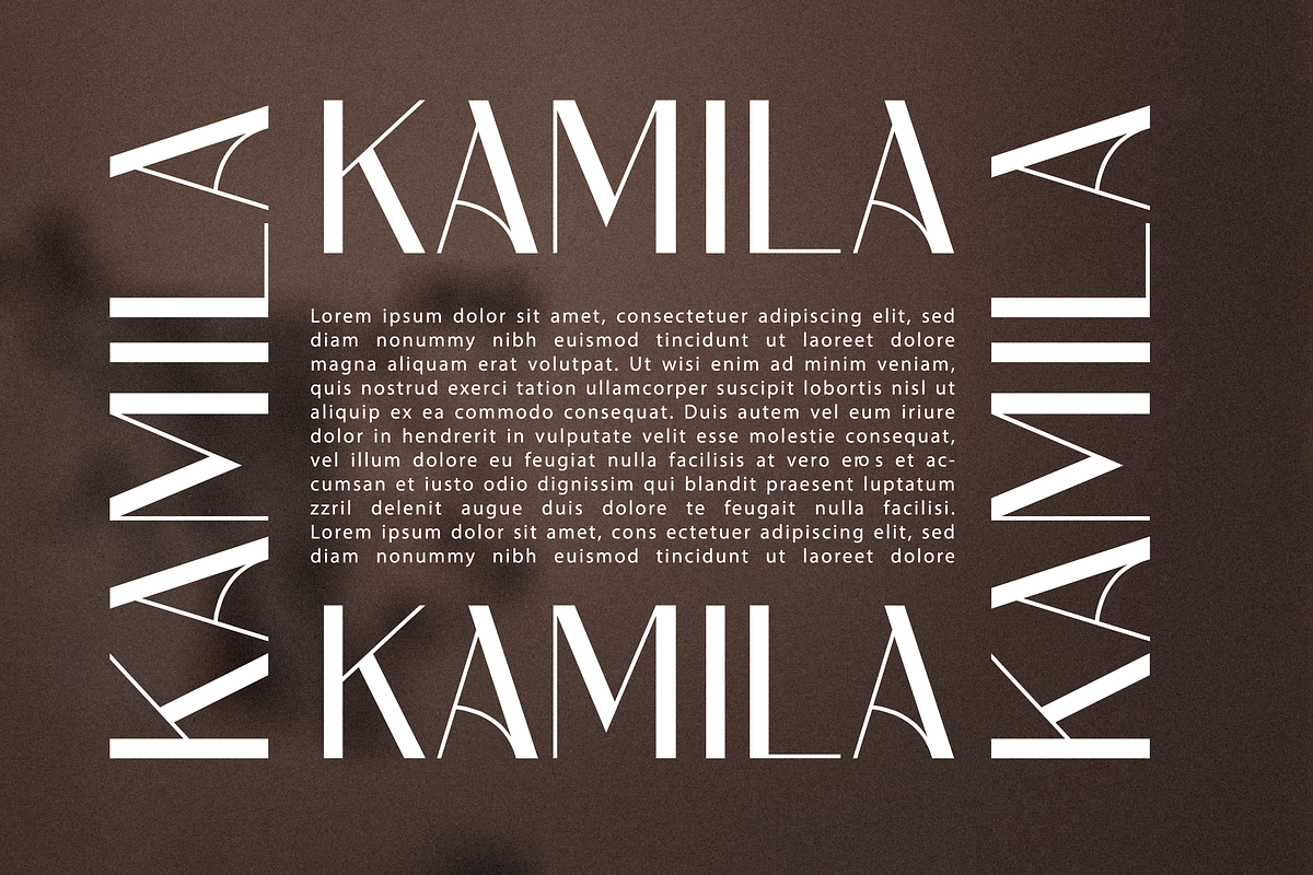 Palion Sans Serif, a Sans Serif Font by Maryamtype Studio (Photo 5 of 11)