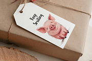 Quirky Pig clipart, an Animal Illustration by PaintPixelCo (Thumbnail 9 of 9)
