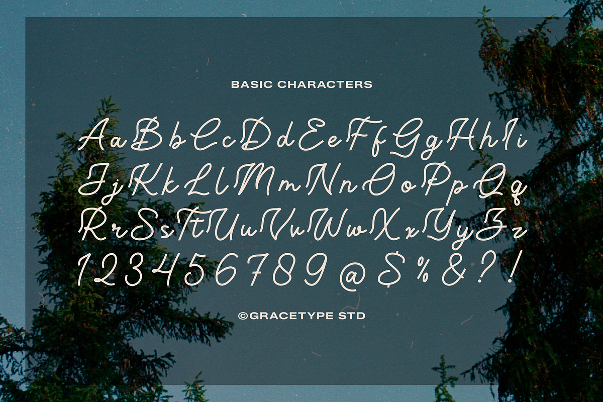 Lubiedo | Monoline Script, a Script Font by gracetype_studio (Photo 10 of 12)