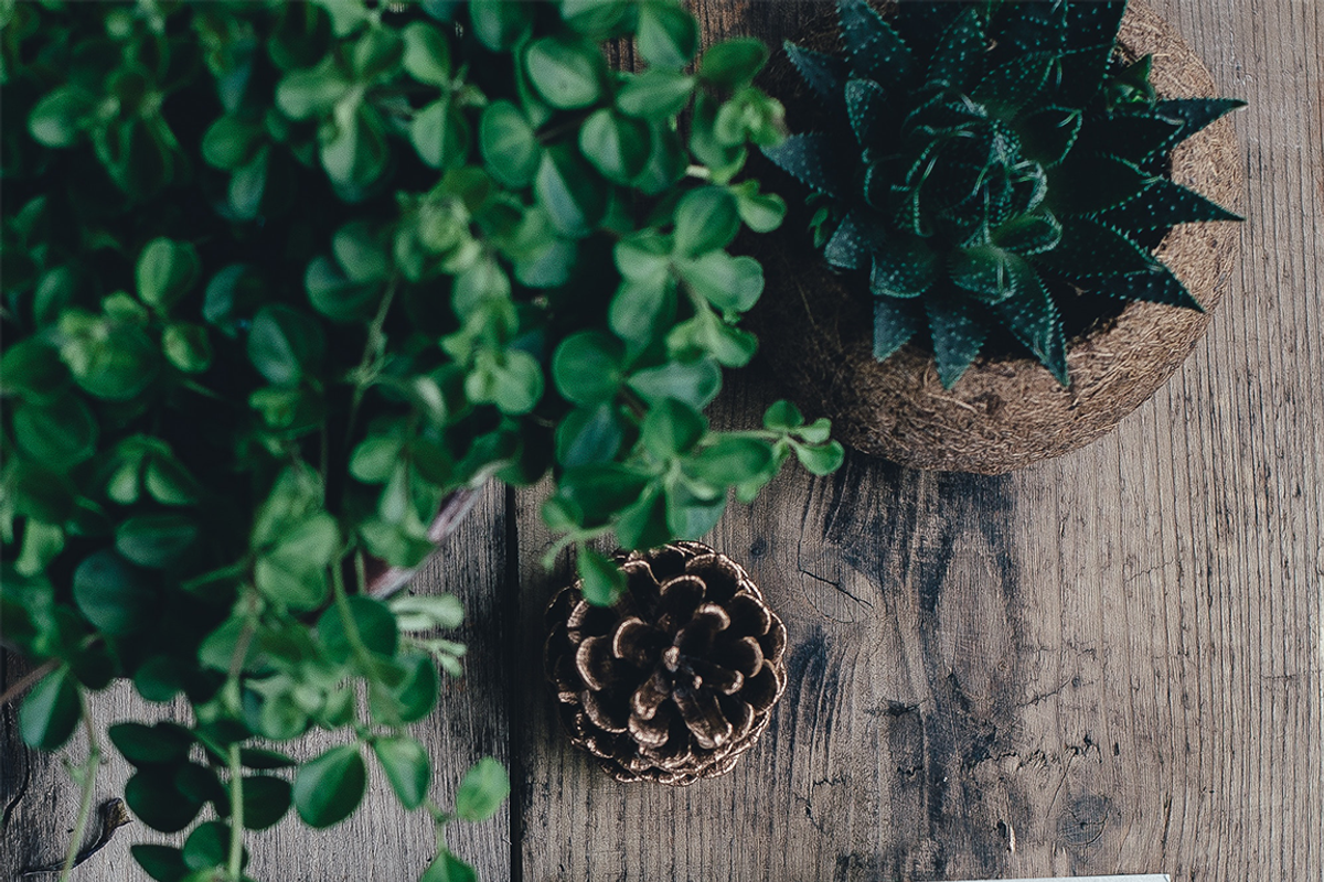 Flower wreaths and branches, a Decorative Illustration by HmarkaShop (Photo 6 of 6)