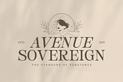 Parnelle - Elegant Serif Font, a Serif Font by Youthlabs Studio (Thumbnail 4 of 12)