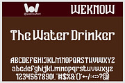 Vanguard Legend font, a Serif Font by weknow (Thumbnail 4 of 8)