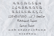 Papertua Monoline Script Font, a Script Font by Anomali Creatype (Thumbnail 5 of 6)
