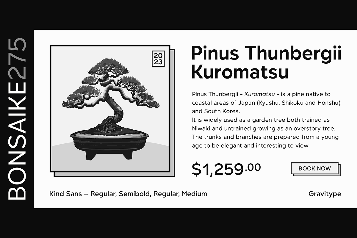Kind Sans - Humanist Font Family, a Sans Serif Font by Gravitype (Photo 5 of 15)