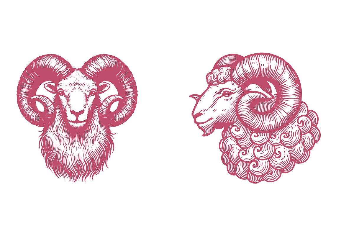 Elegant Vintage Ram Illustration, an Animal Illustration by MkStudio (Photo 3 of 3)