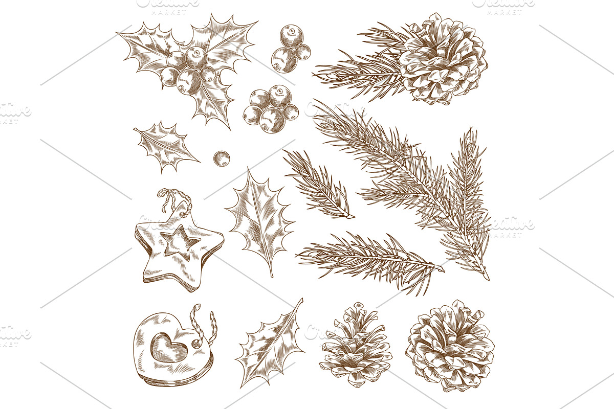 Monochrome set of pine branches, an Object Illustration by Sabelskaya