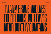 Rainshade - Condensed Display Font, a Sans Serif Font by Typeparties (Thumbnail 7 of 12)