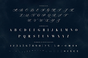 Monycha — Modern Serif Script, a Serif Font by Almeera Std (Thumbnail 7 of 10)