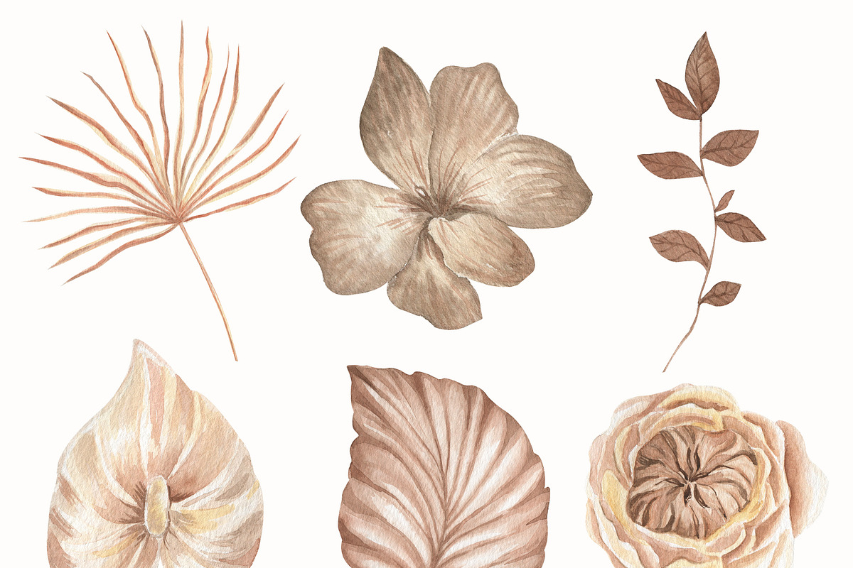 Boho Flowers Watercolour Collection, an Illustration by ViolettaKh (Photo 3 of 10)