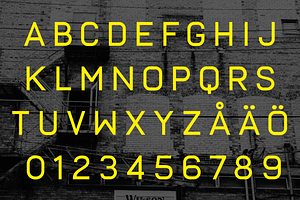 Frank - Display Sans With 20 Fonts