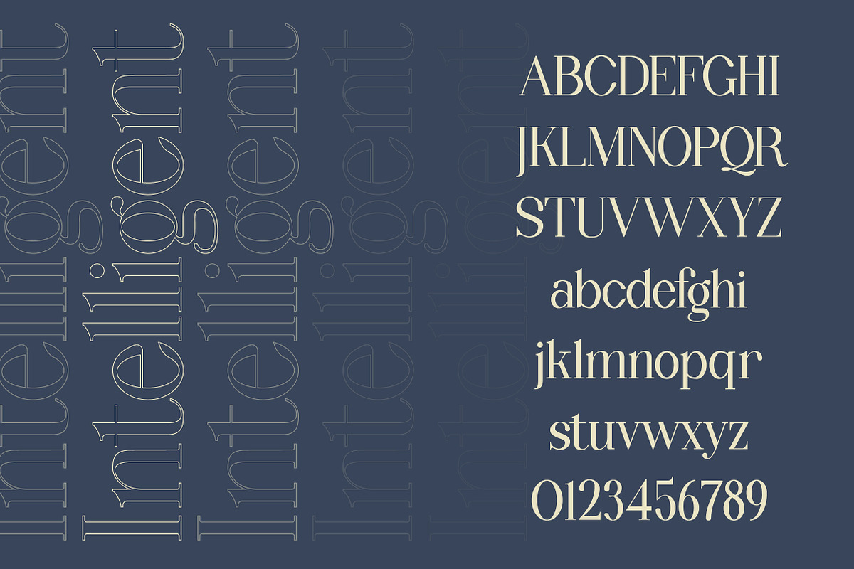 Wondernesia Nostalgic & Modern Serif, a Serif Font by Lettertype Studio (Photo 6 of 15)