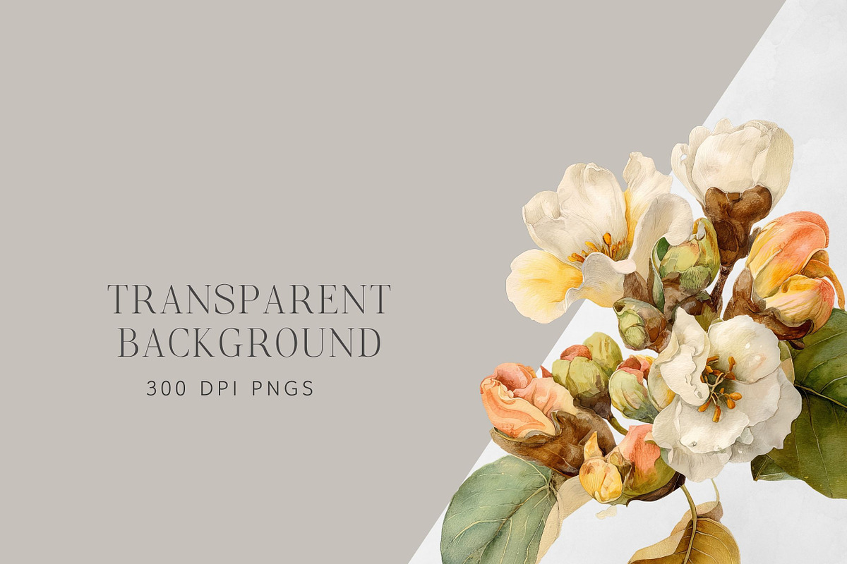 Watercolor Botanical Clipart, a Decorative Illustration by ThaismotaCreativeCo (Photo 11 of 11)