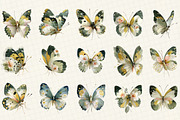 Watercolor Pastel Butterfly Clipart, an Illustration by DreamCafeArt (Thumbnail 3 of 6)