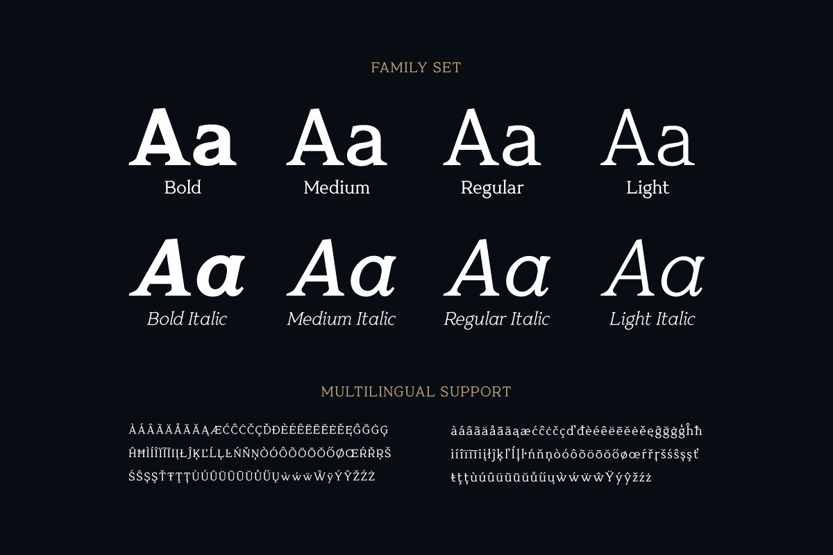 MT Belsior - Ethical AI Serif, a Serif Font by twinstd (Photo 13 of 13)