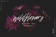 Katastrophe Font + Bonus, a Script Font by Flycatcher Design (Thumbnail 7 of 8)