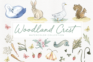 Woodland Crest Watercolor Collection