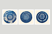 Natt Collection · Organic Tree Rings, a Texture Illustration by milatovar (Thumbnail 4 of 19)